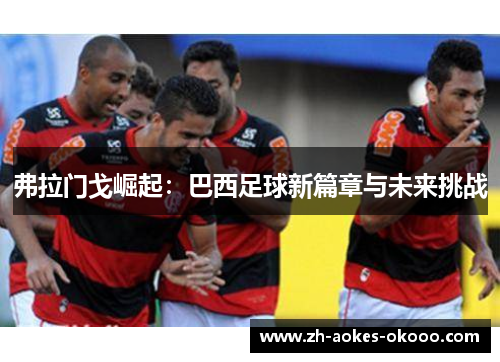 弗拉门戈崛起:巴西足球新篇章与未来挑战 弗拉门戈崛起:巴西足球新篇章与未来挑战